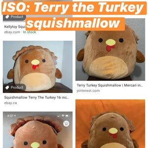 ISO TRRRY THE TURKEY SQUISHMALLOW THANKSGIVING